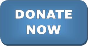 Donate Now button