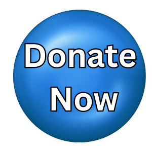 Donate Now button